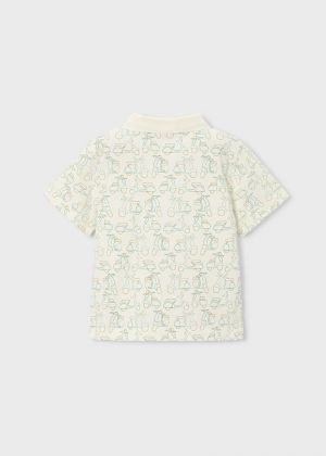  085 Cream Green