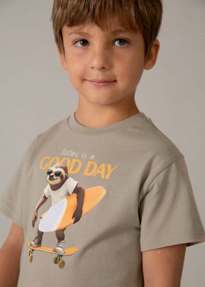 034 Col. Mole