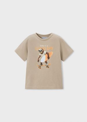 034 Col. Mole