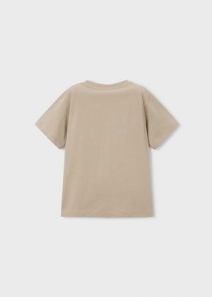 034 Col. Mole