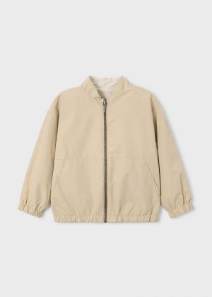  047 Oat