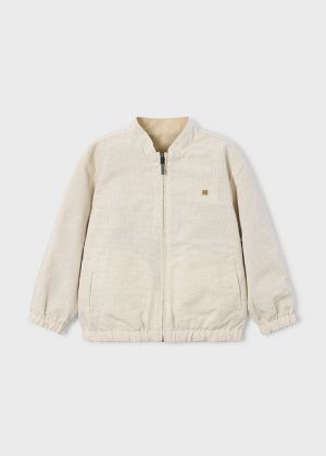  047 Oat