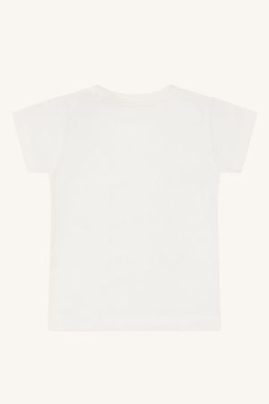 3270 Ivory