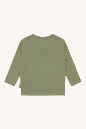  4434 Light Gree