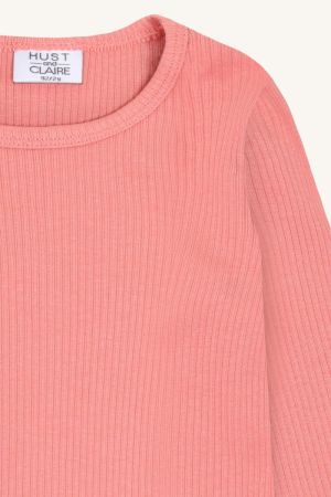  3709 Sorbet