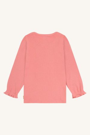  3709 Sorbet
