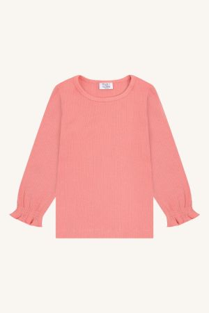  3709 Sorbet