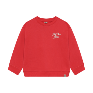 4194 Chrysanthe
