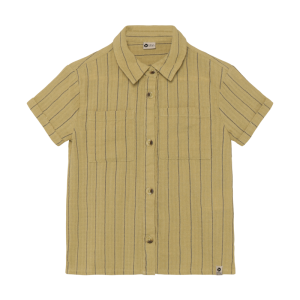  9589 Pale olive