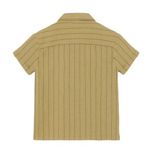  9589 Pale olive
