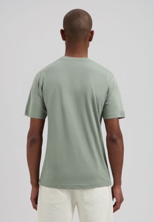 MOD  564 GREEN SHADO