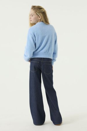  Alice Blue