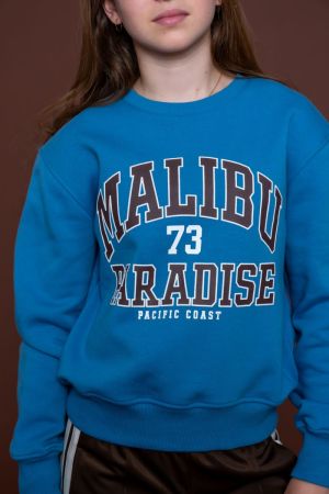  Blue/Brown