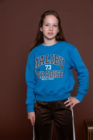  Blue/Brown