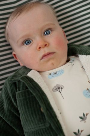  Groen