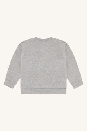 1206 Grey Melan