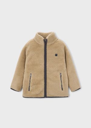 008 Hazelnut