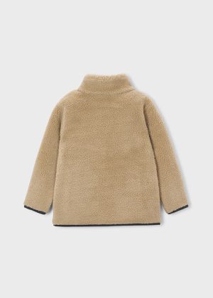  008 Hazelnut