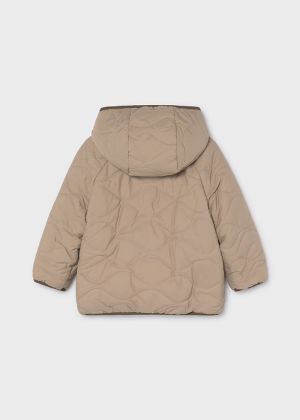  045 Hazelnut