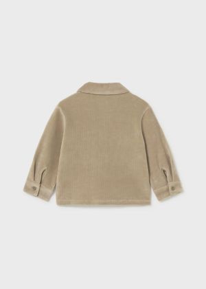  046 Hazelnut