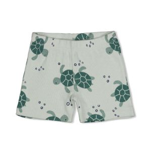 Timmy Turtle Mint
