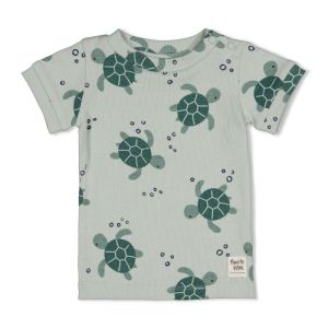 Timmy Turtle Mint