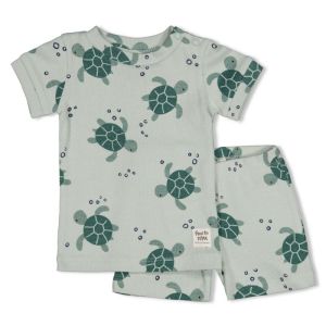 Timmy Turtle Mint
