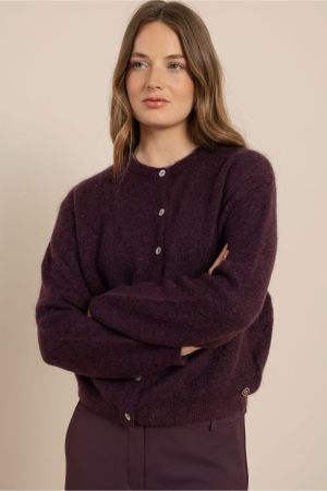 BIBI 4800 AUBERGINE