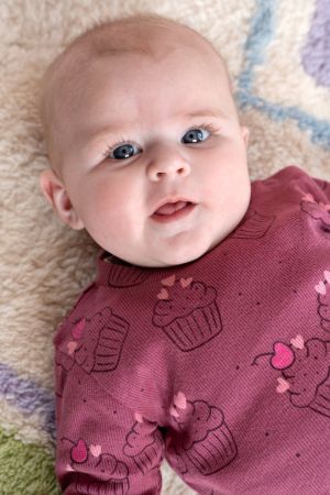 Chloe cupcake Violet